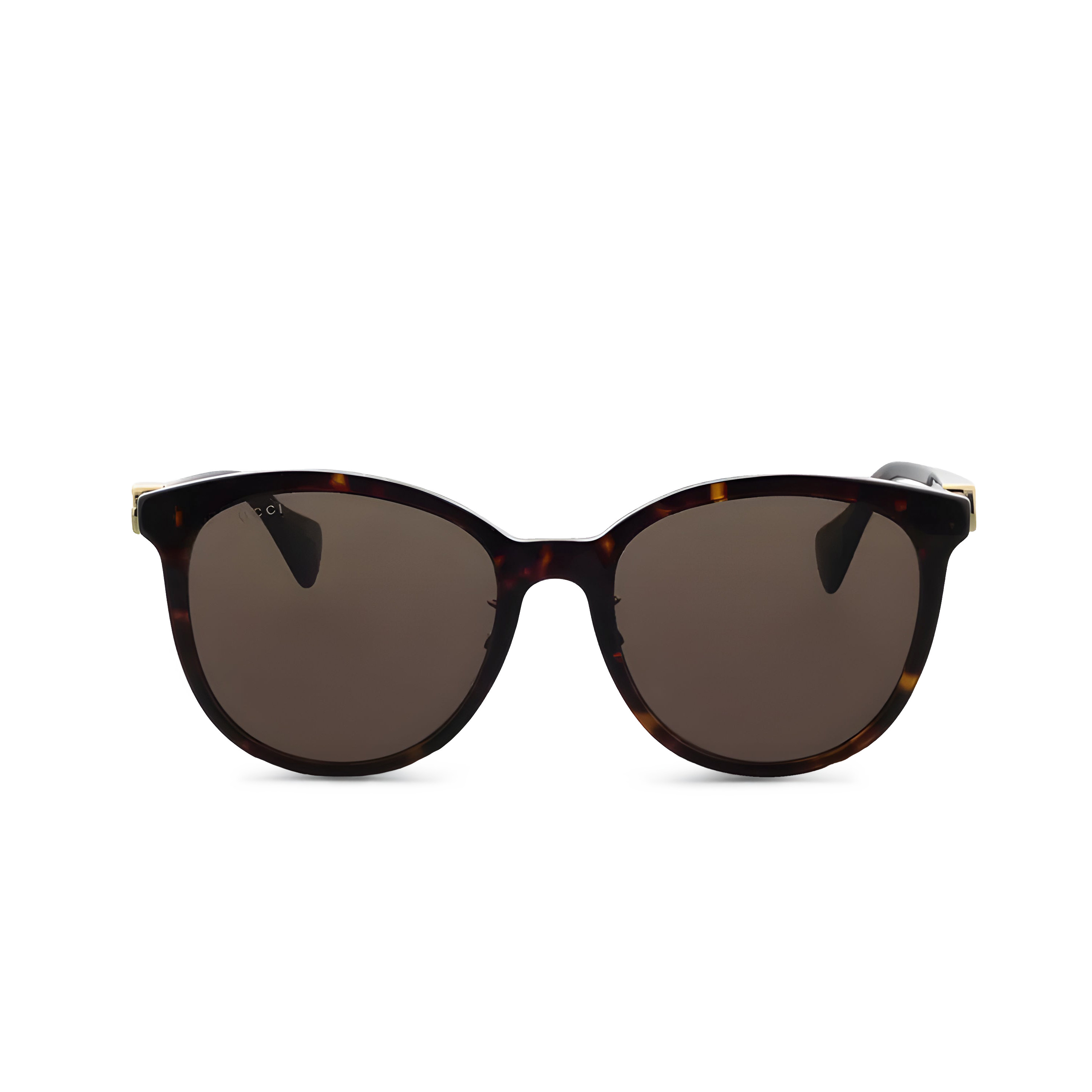 Gafas Havanas Gucci Avan Guccci Gg