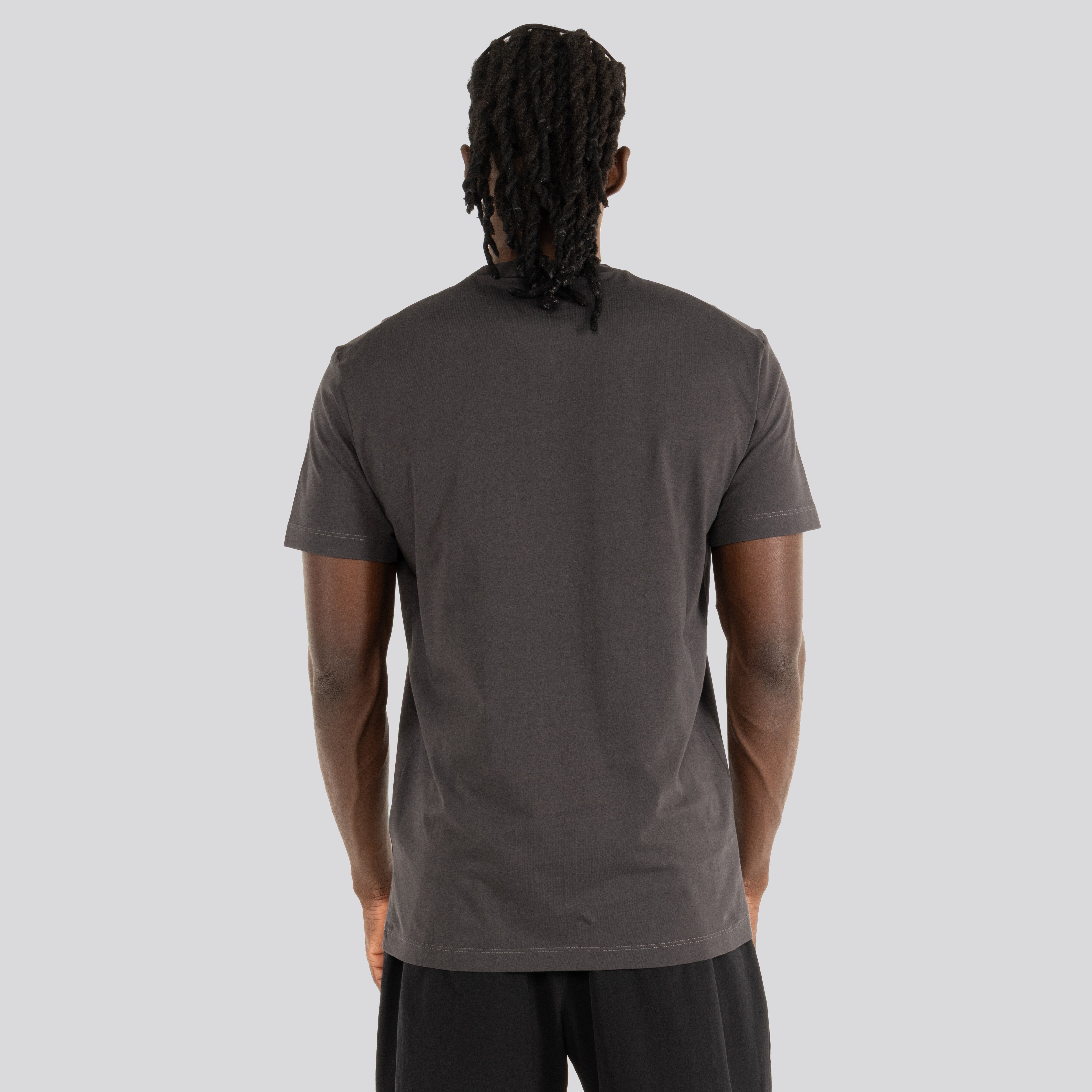 Camiseta Gris Dsquared2 Basic Plaque