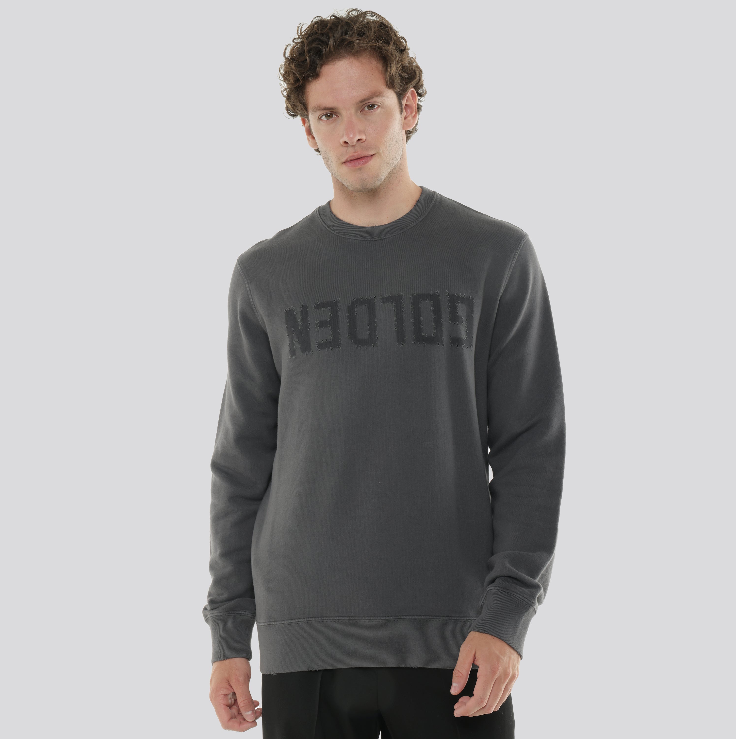 Buzo Gris Golden Goose Distressedn Logo