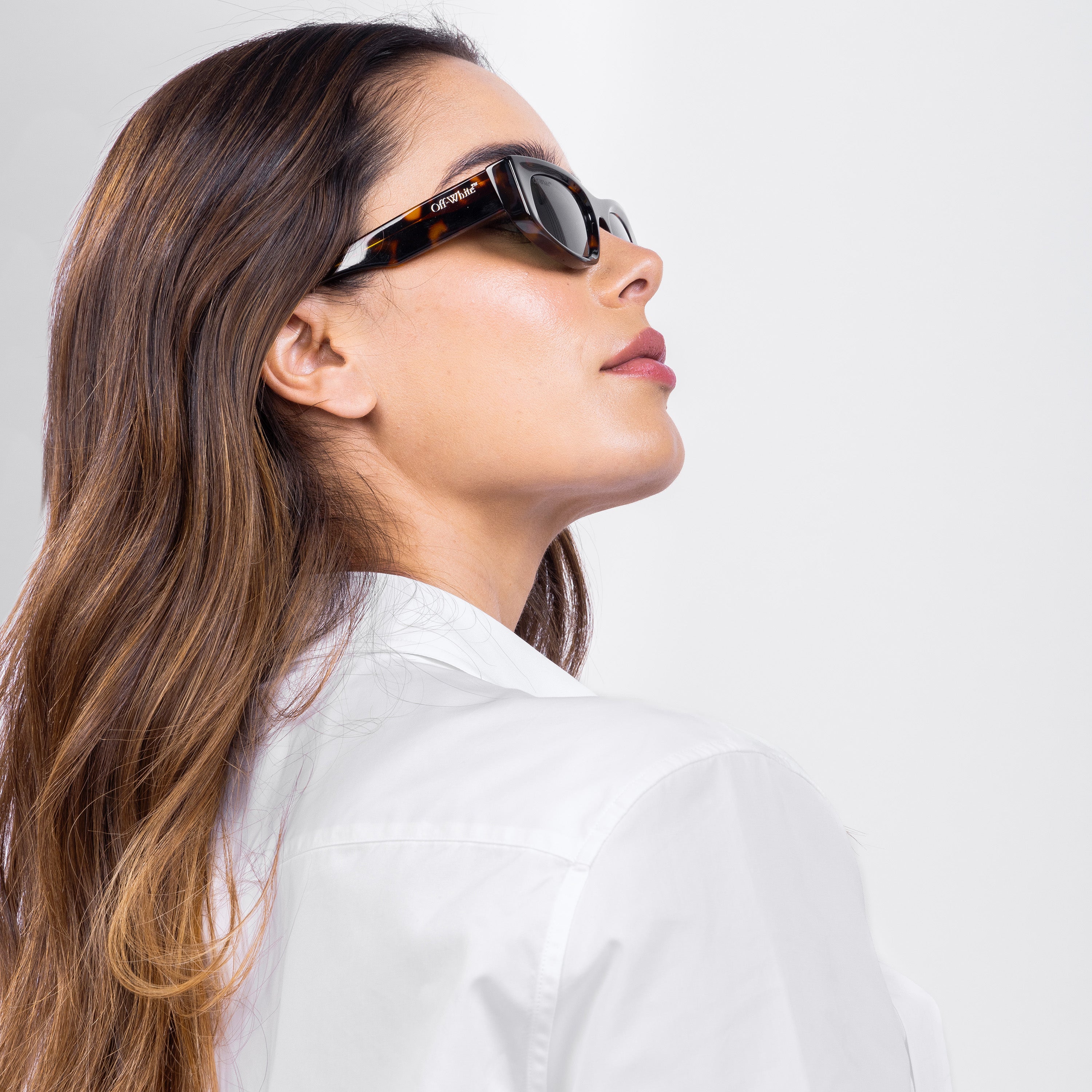 Gafas Havana Off-White Matera Green