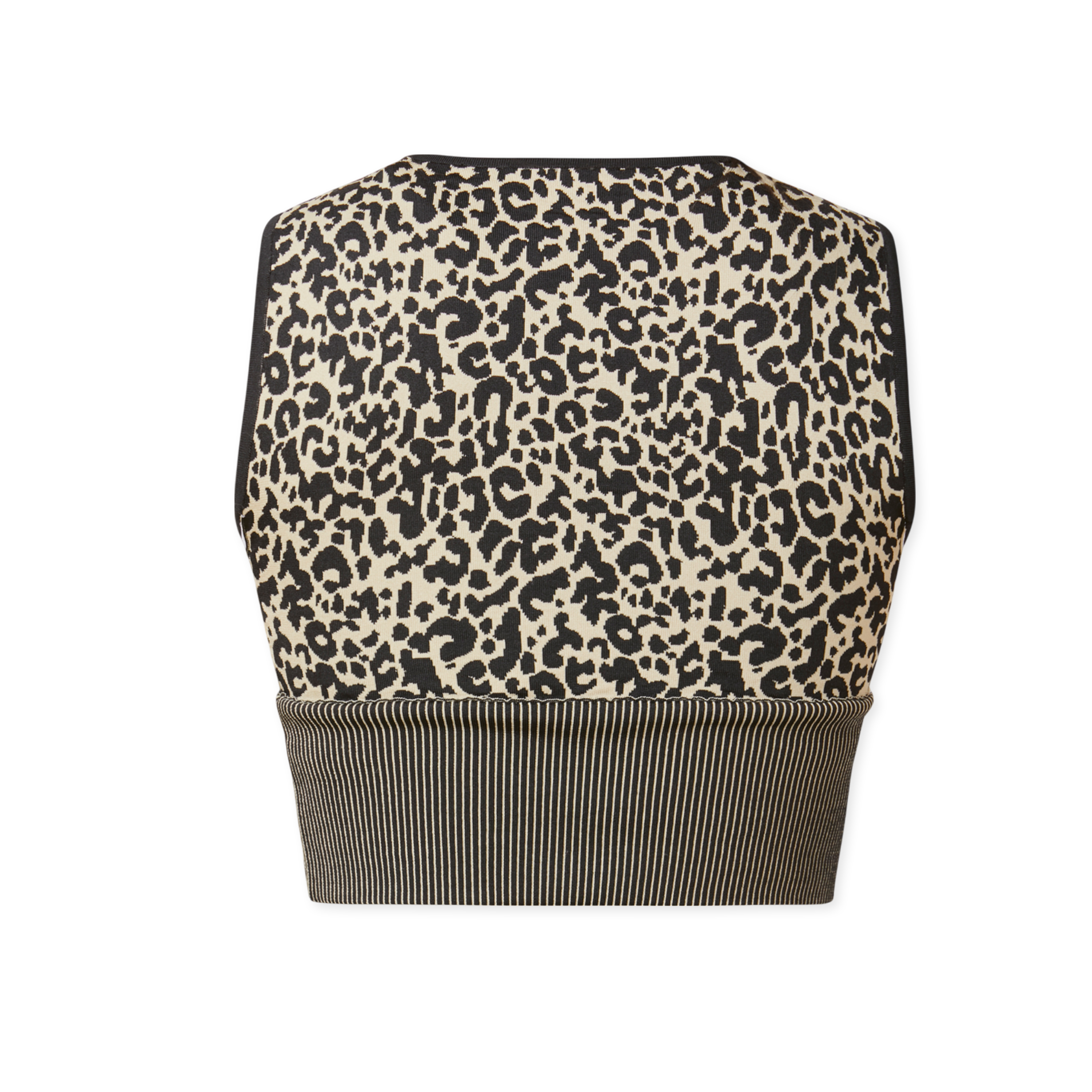 Top Animalier Logotipo de Palm Angels