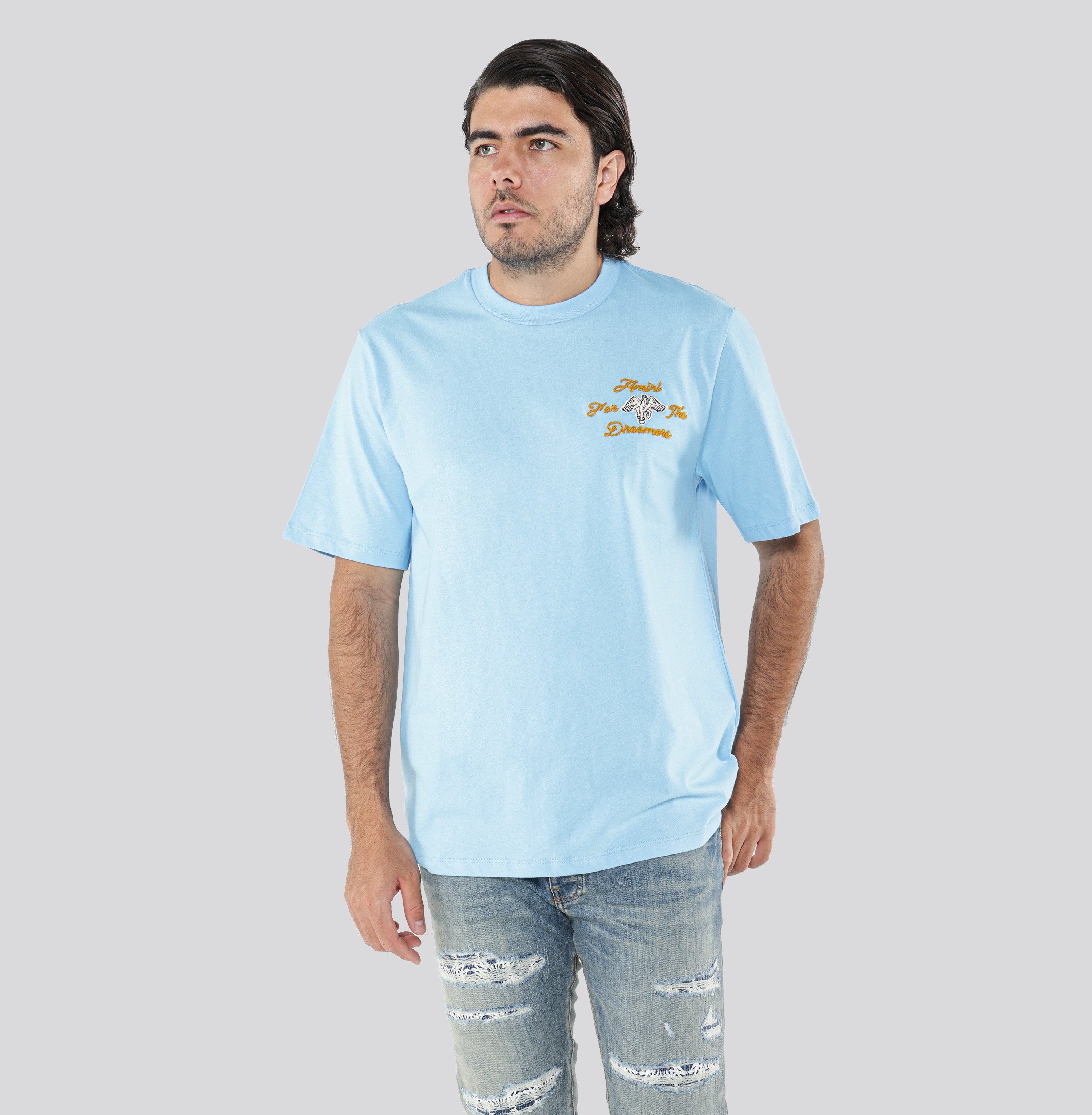 Camiseta Celeste AMIRI Embroidered Dreamers