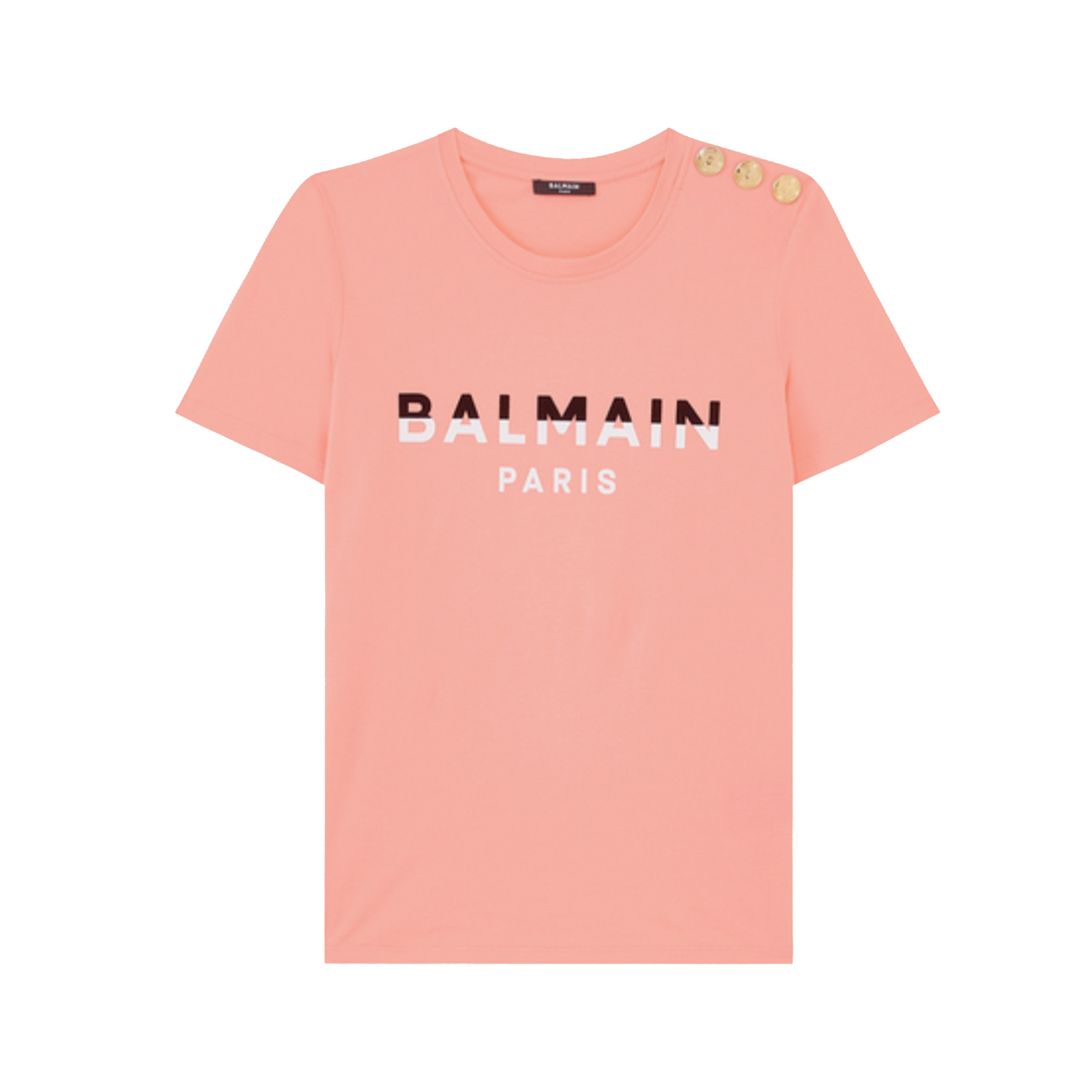 Camiseta Salmon Balmain Paris 3 BTN
