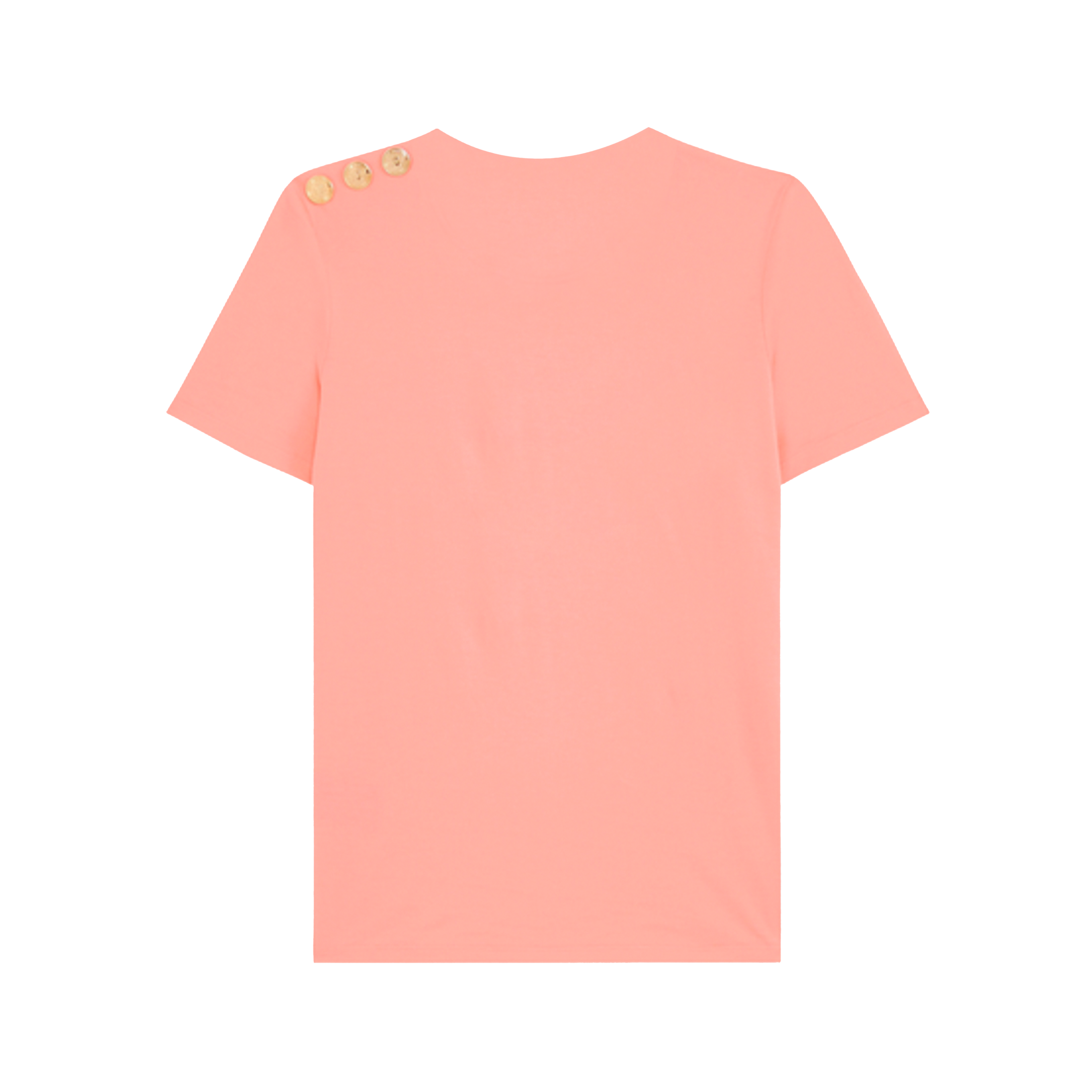 Camiseta Salmon Balmain Paris 3 BTN