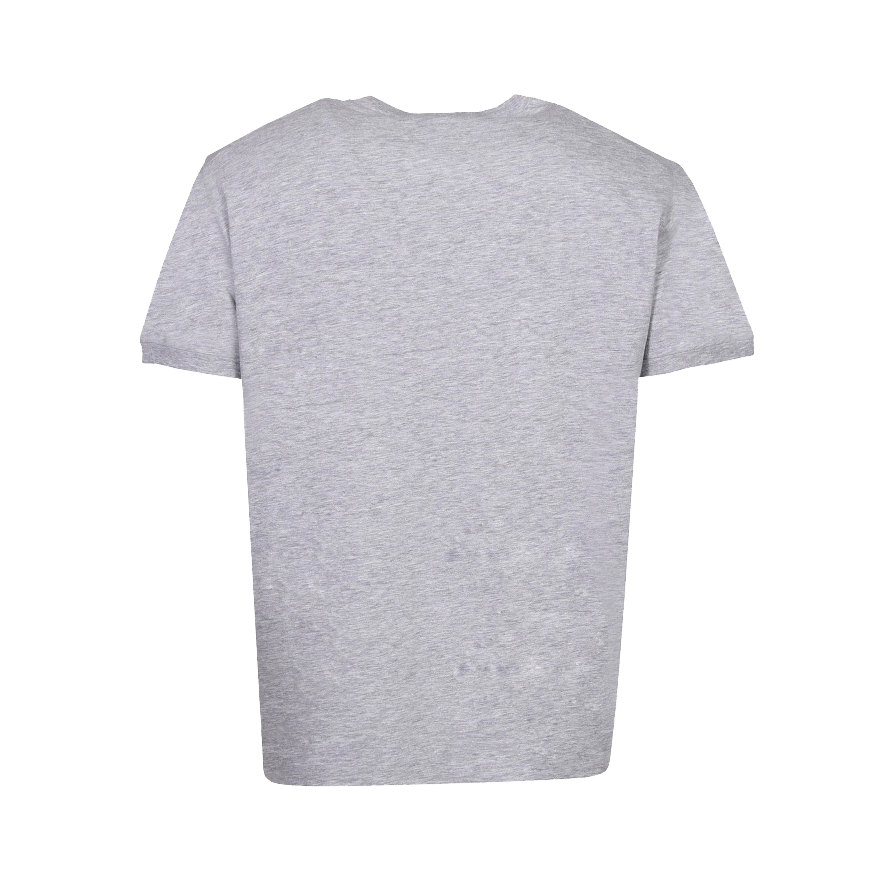Camiseta Gris Dsquared2 Phys