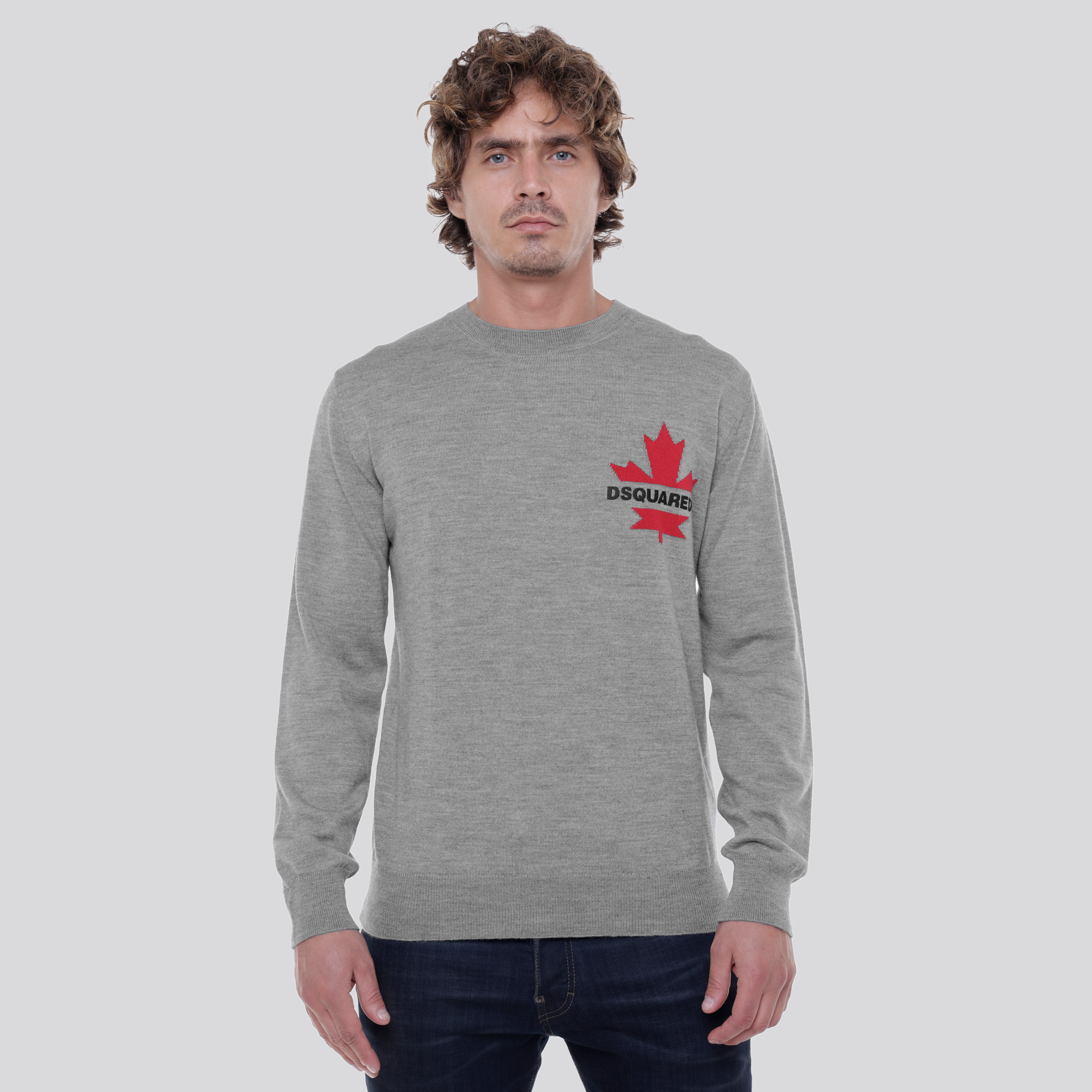 Buzo Gris Dsquared2 Leaf Logo