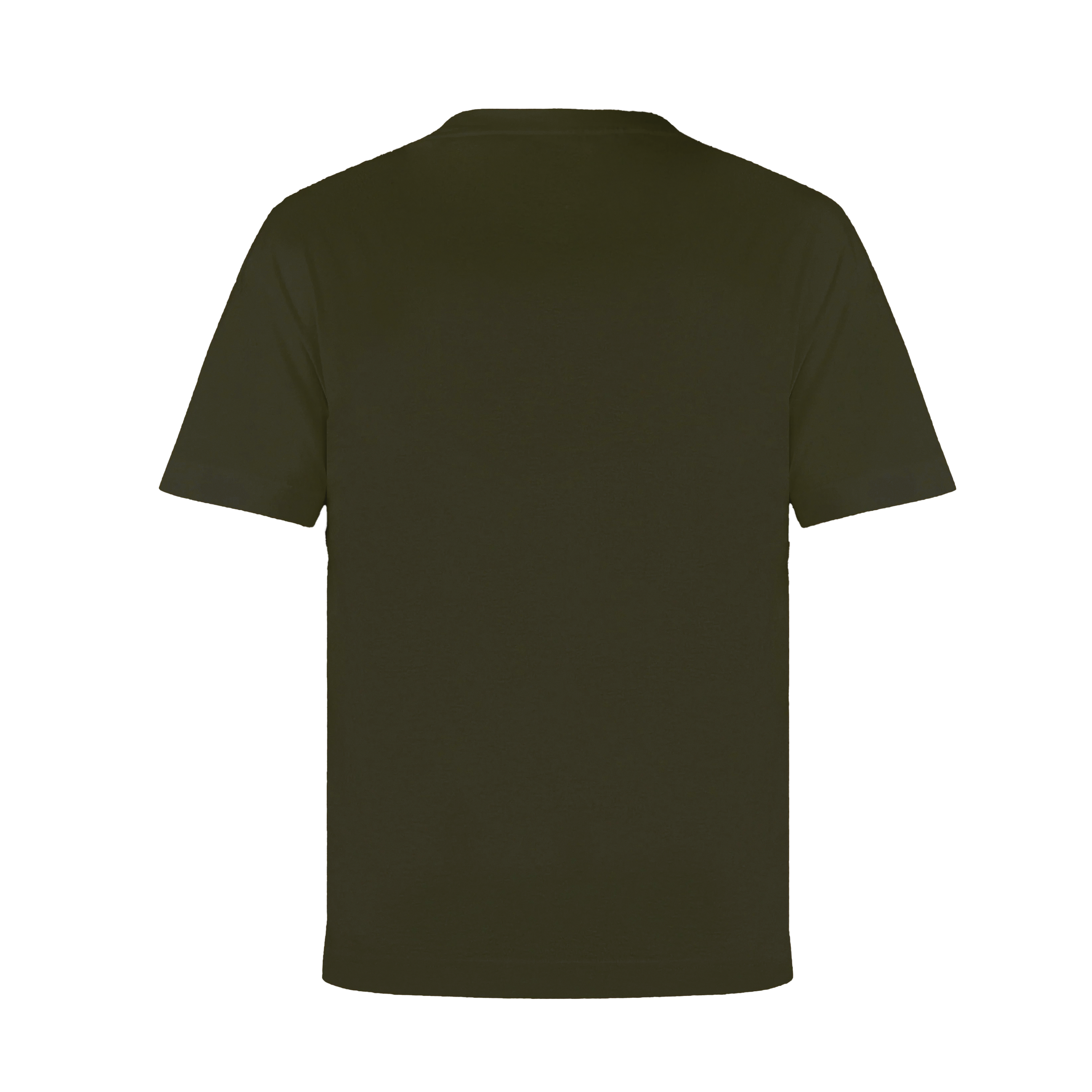 Camiseta Verde Dsquared2 Basic Plaque