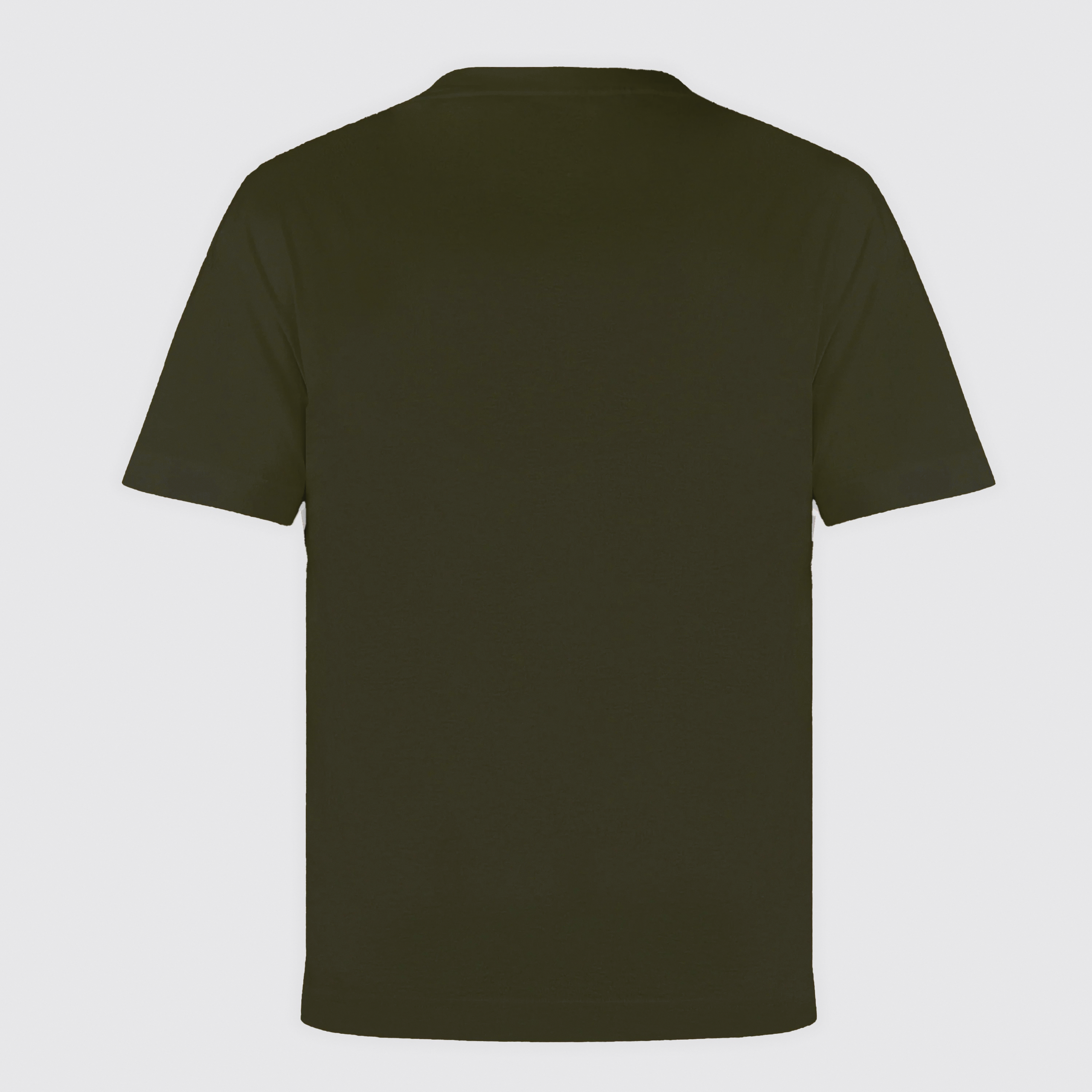 Camiseta Verde Dsquared2 Basic Plaque