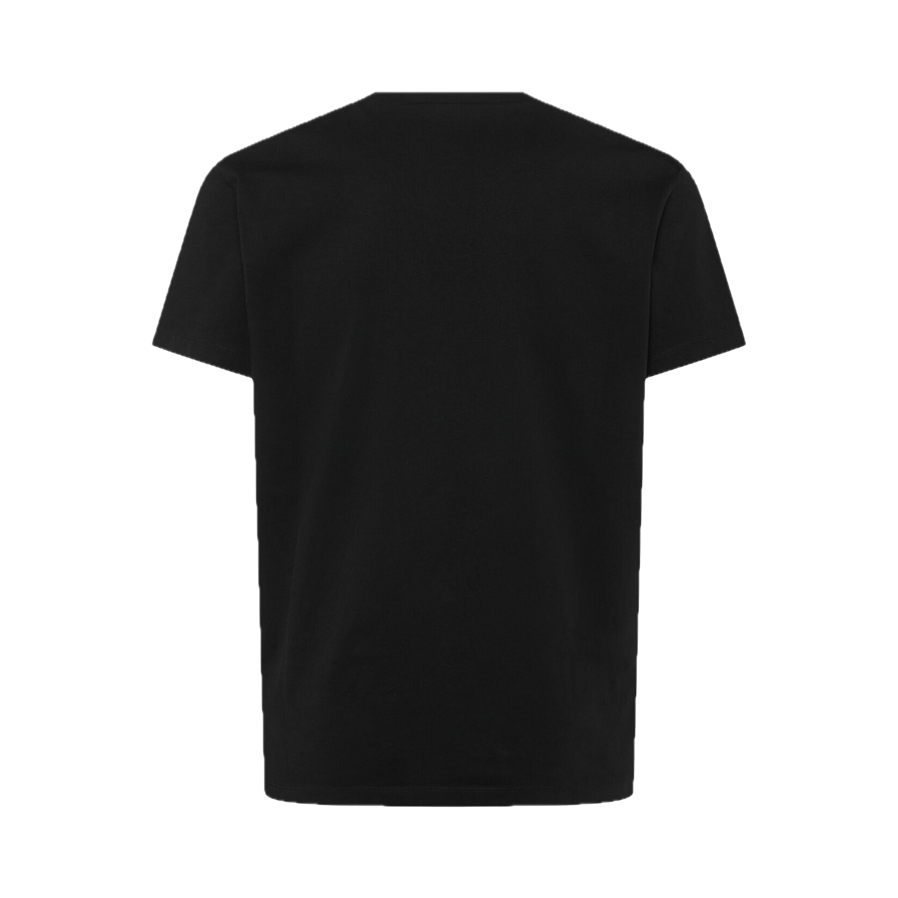 Camiseta Negra Dsquared2 Leaf Tears