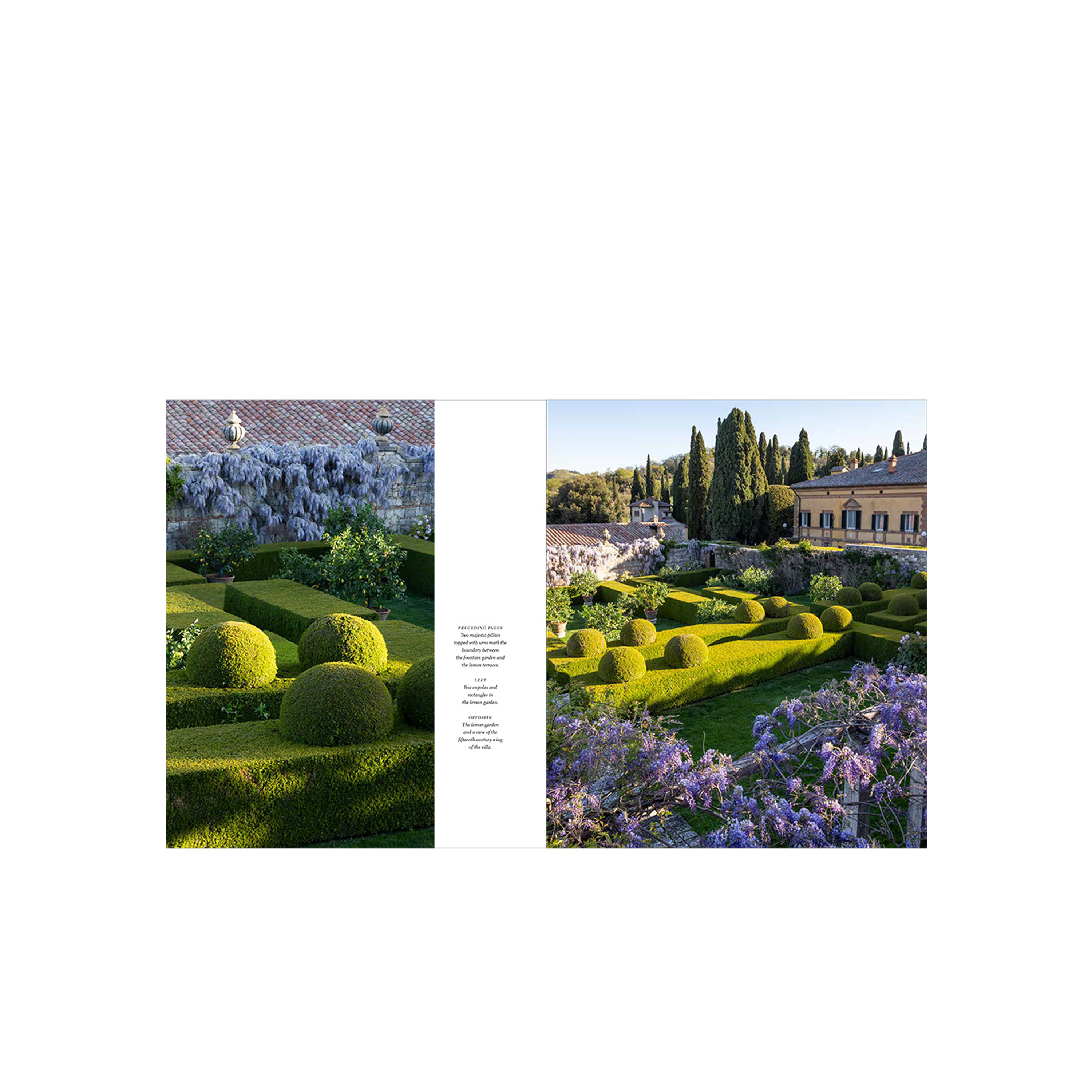 Libro Verde RIZZOLI La Foge