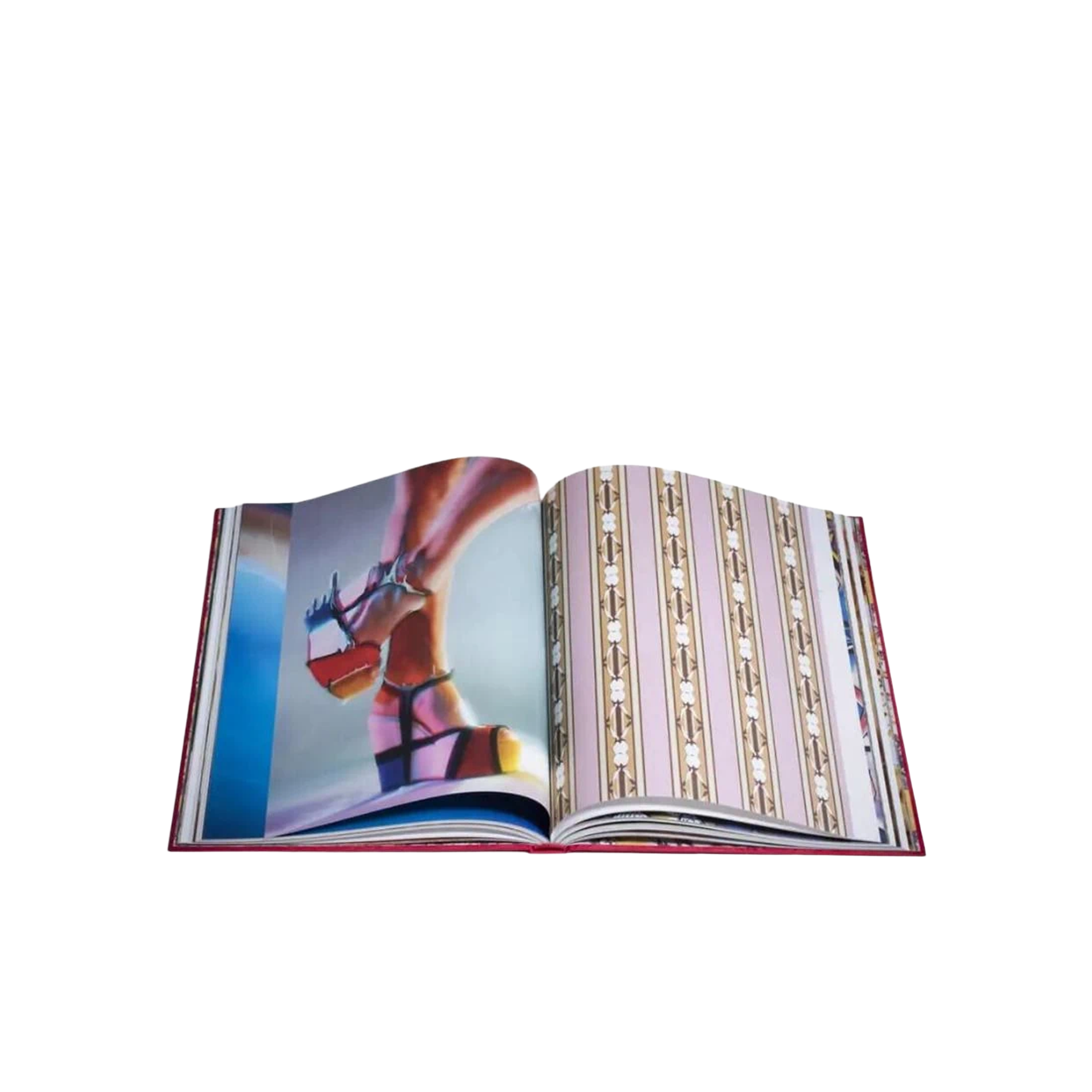 Libro Rojo RIZZOLI Christian Louboutin