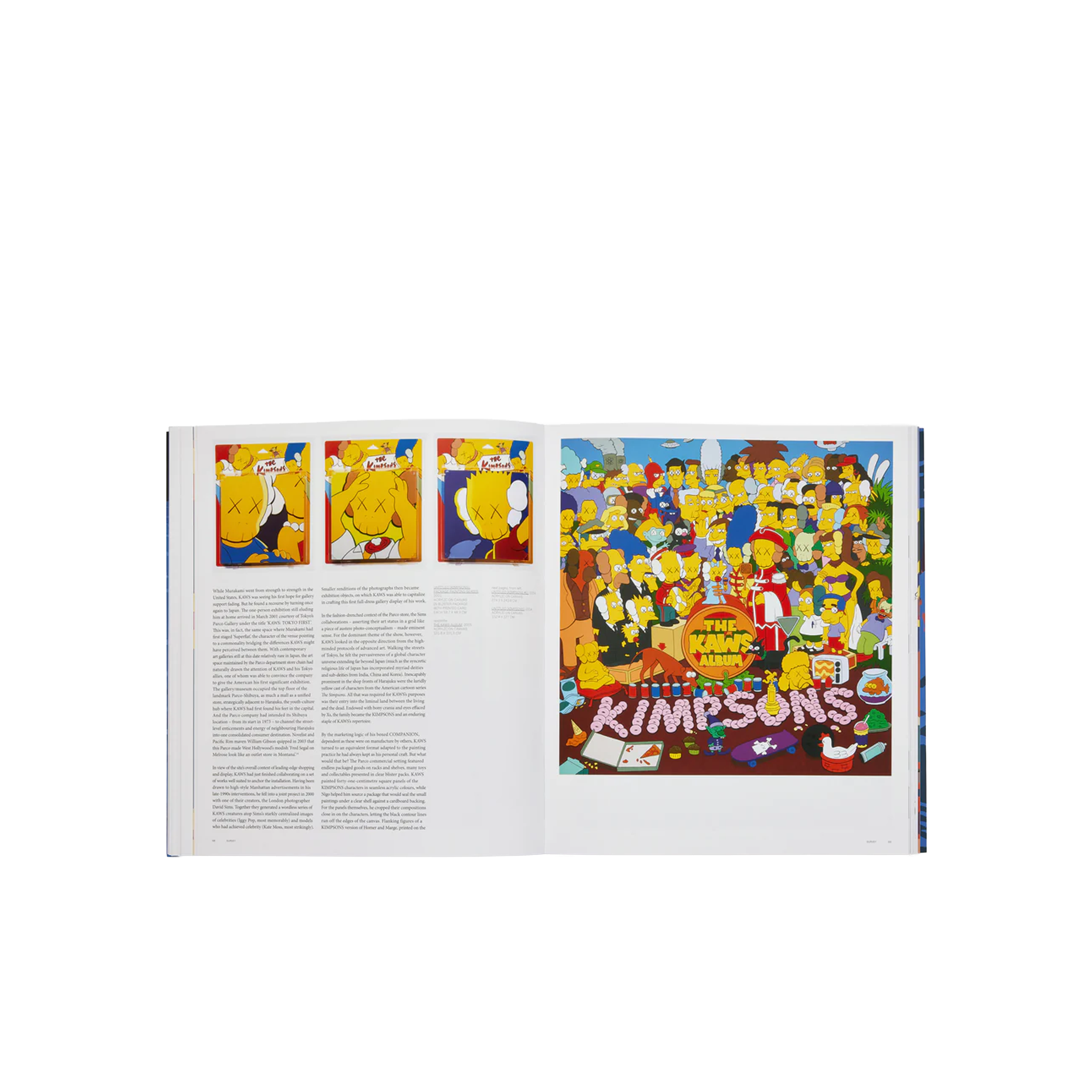 Libro Azul PHAIDON Kaws